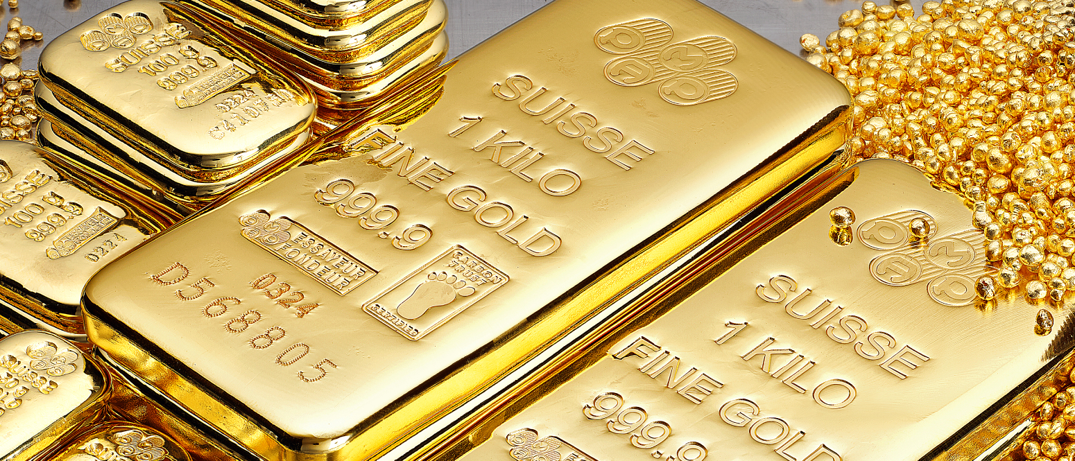 PAMP Banner 1550x665